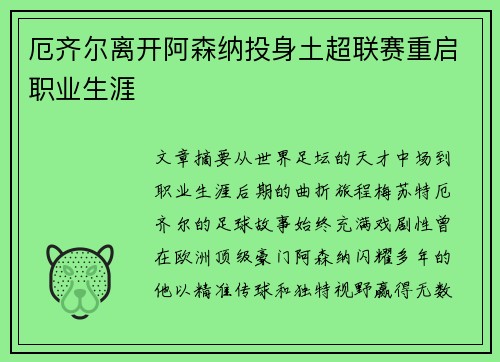 厄齐尔离开阿森纳投身土超联赛重启职业生涯 厄齐尔离开阿森纳投身土超联赛重启职业生涯